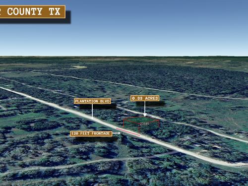 .33 Acre in Trinity, $250 a Month : Trinity : Walker County : Texas