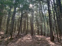 Trout Falls Parcel : Bolton Landing : Warren County : New York