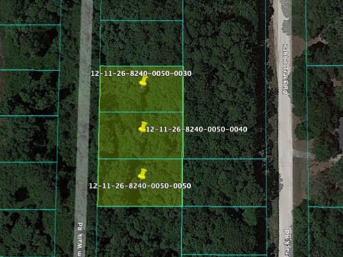 A Retirement Paradise : Satsuma : Putnam County : Florida