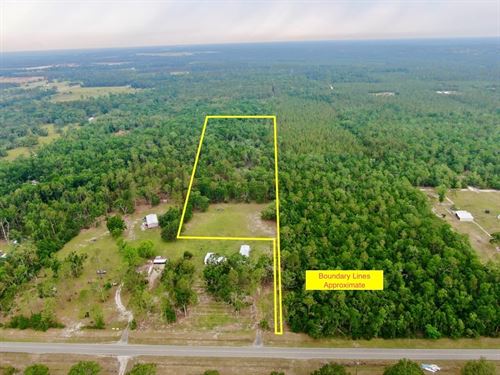 Pinetta, FL 6.77 Acre Homesite : Pinetta : Madison County : Florida