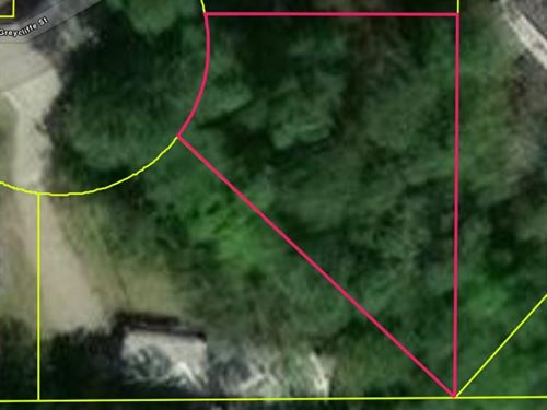 Pascagoula River Area Wooded Corner : Gautier : Jackson County : Mississippi