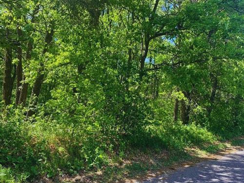 Smooth Paved Roads at $125/Mo : Breezy Point : Crow Wing County : Minnesota