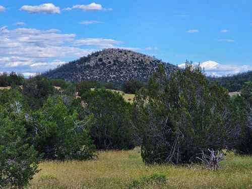 1.83 Acre Playground Awaits $175/Mo : Seligman : Yavapai County : Arizona