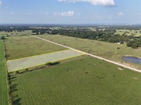 Ranch Land in Limestone, TX : Mexia : Limestone County : Texas