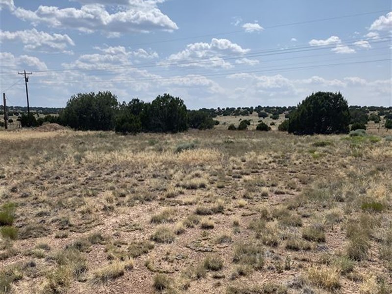 .38 Acres for $225/Mo : Concho : Apache County : Arizona