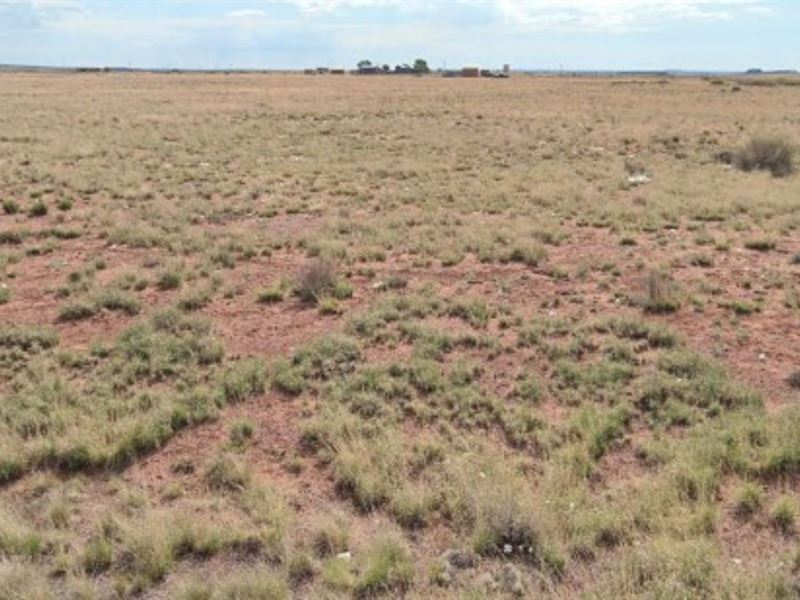 1.3 Ac Navajo $100 July 4 : Winslow-Holbrook : Navajo County : Arizona