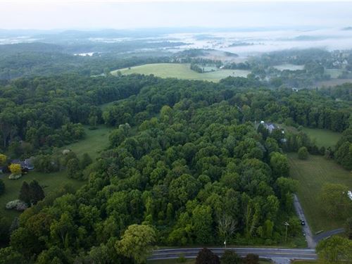 Lot 35, 4+ Acre Wooded Lot : Copake : Columbia County : New York