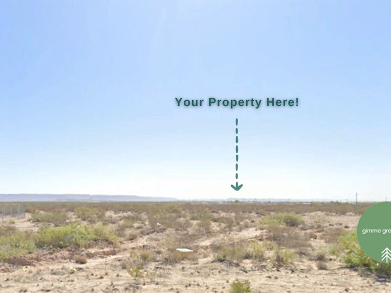 Title Insured Texas Lot, 0.23 Acre : El Paso : El Paso County : Texas