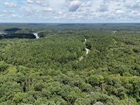 Beautiful Tract with Trees : Elberton : Elbert County : Georgia