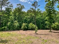 Electric and Water : Ellis Prairie : Texas County : Missouri