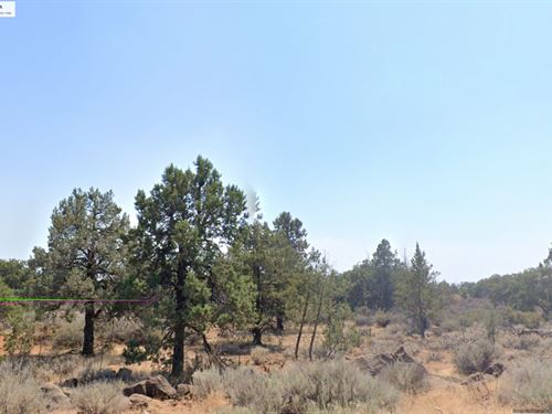 20 Acres in Lassen County, CA : McArthur : Lassen County : California