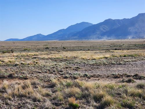 Quiet Life Starts in NM : El Cerro Mission : Valencia County : New Mexico