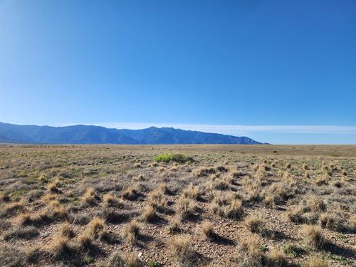 NM Quarter Acre, $57 Down : El Cerro Mission : Valencia County : New Mexico