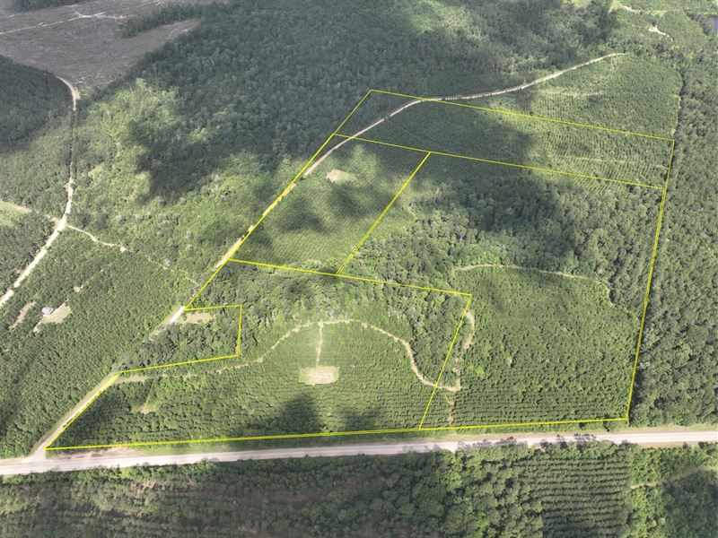 12 Acres, T-2, Rice Road East : Camden : Polk County : Texas