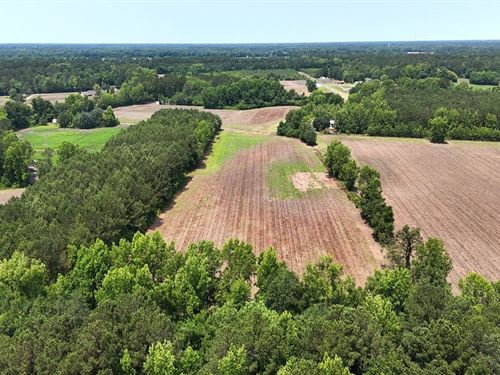 14 Acres of Vacan : Lumberton : Robeson County : North Carolina