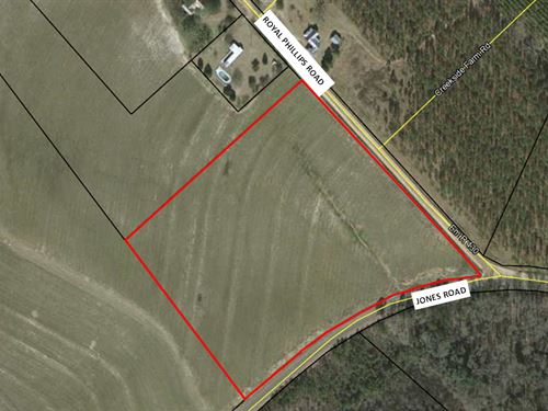 10 Acres Bleckley County : Cochran : Bleckley County : Georgia