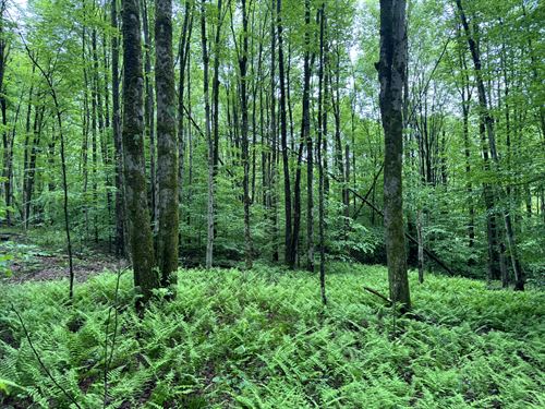 Scenic Southern Tier Acreage : German : Chenango County : New York