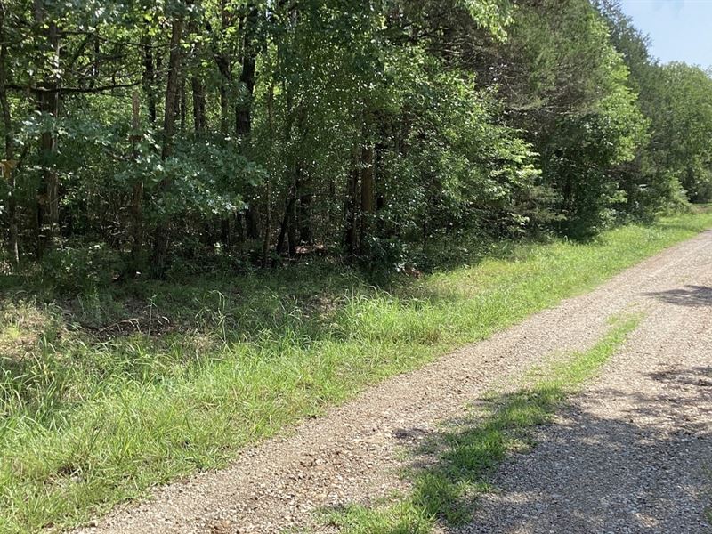 Own Your Lakeside Paradise : Diamond : Boone County : Arkansas