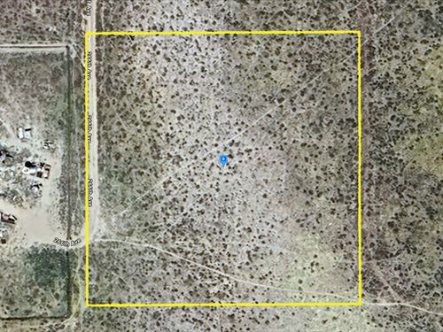 Close To Nature : Rosamond : Kern County : California