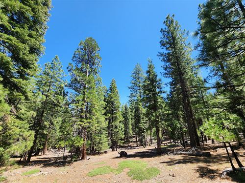 Build, Retire, Camp, & Invest in CA : Alturas : Modoc County : California