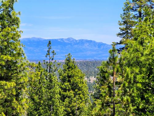 Goodbye to High Housing Costs in CA : Alturas : Modoc County : California