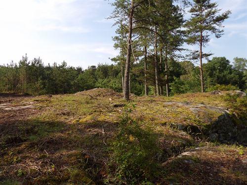 Views, Driveway, Paved Road : Evensville : Bledsoe County : Tennessee