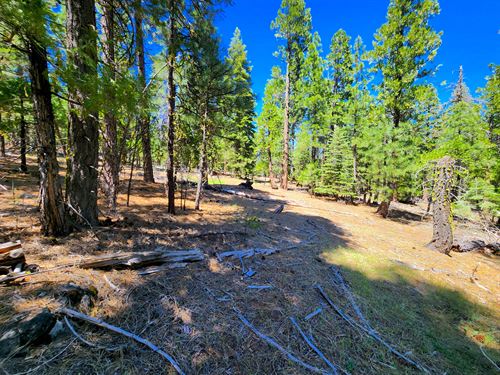 Invest in Residential with Outdoor : Alturas : Modoc County : California