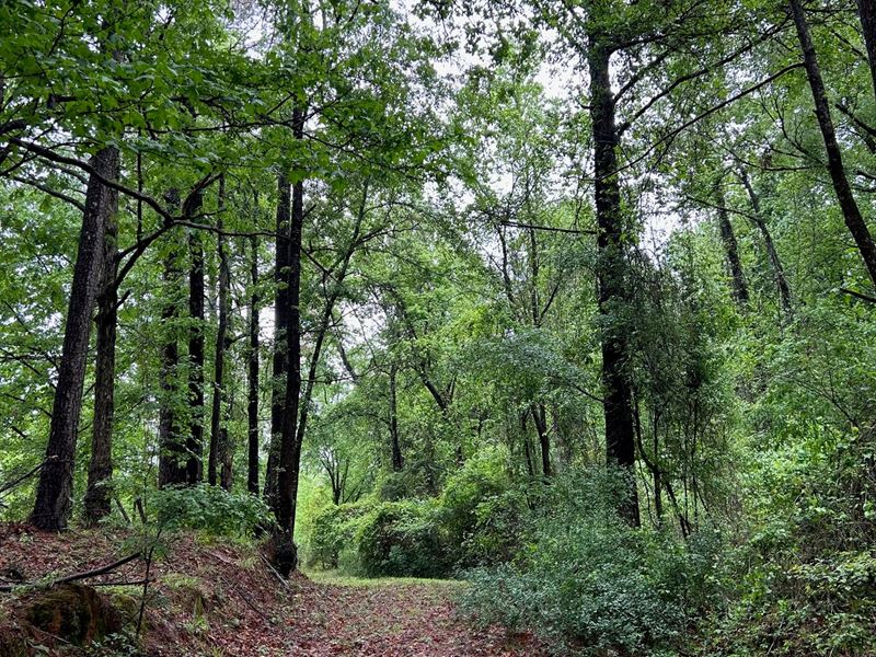 Rural Living in Leake County : Carthage : Leake County : Mississippi