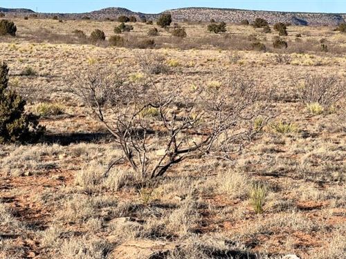 Spacious 5 Acre Desert Lot : Garita : San Miguel County : New Mexico
