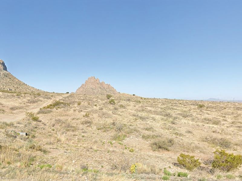 Own a Half Acre Lot for Just $29 : Deming : Luna County : New Mexico