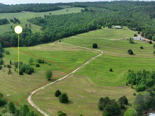 9 Acre Mini Farm : Hayden : Blount County : Alabama