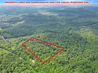 Cox Rd, 5 Acres, Vinton County : Vinton : Ohio