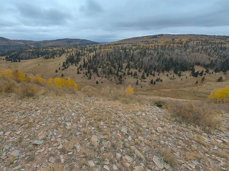 Desert Peace in Rio Grande Ranches : San Luis : Costilla County : Colorado