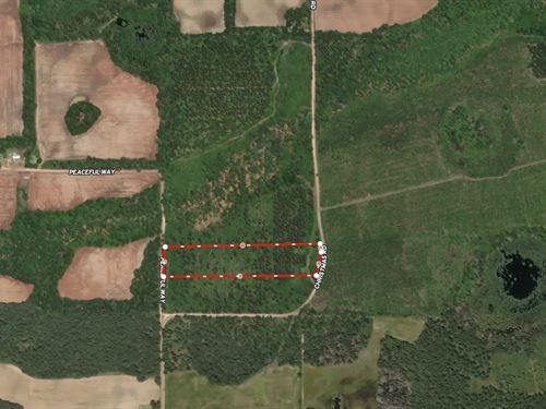 Christmas Road Tract Lot 2 : Campbellton : Jackson County : Florida