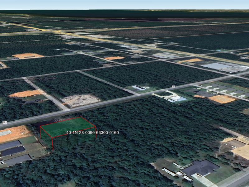 .32 Acre in Milton, $400 a Month : Milton : Santa Rosa County : Florida