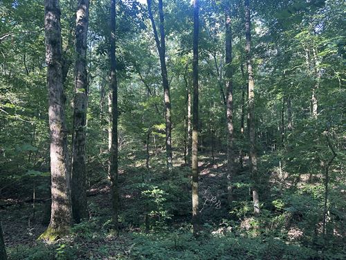 Hwy 72 East Tract 2 : Carlton : Madison County : Georgia