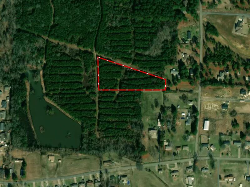 Trees and Nature, Beautiful Setting : Pottsville : Pope County : Arkansas