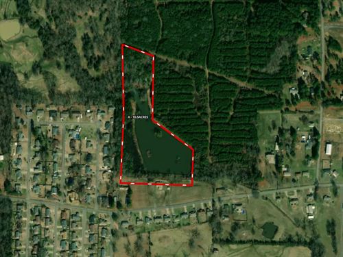 Large Pond and Timber : Pottsville : Pope County : Arkansas