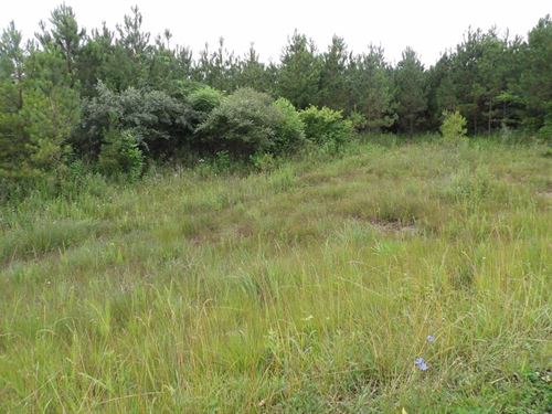 Rock Formations, no Restrictions : Evensville : Bledsoe County : Tennessee