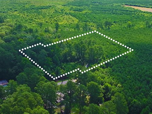 .76 Acres Only 3 Mins to Woodland : Woodland : Northampton County : North Carolina