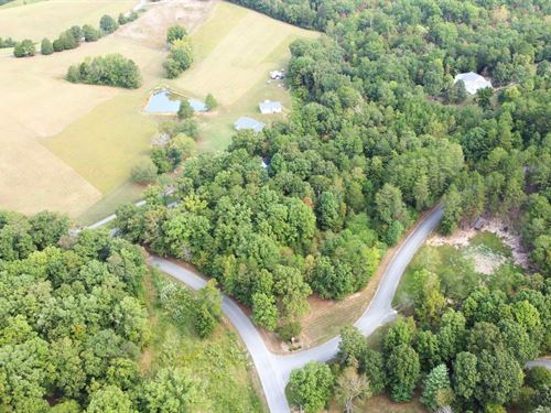 Wooded Lot with Power : Dunlap : Sequatchie County : Tennessee