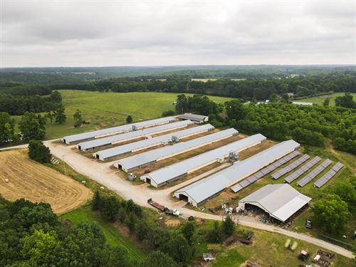 CV Broiler Farm : Vinemont : Cullman County : Alabama