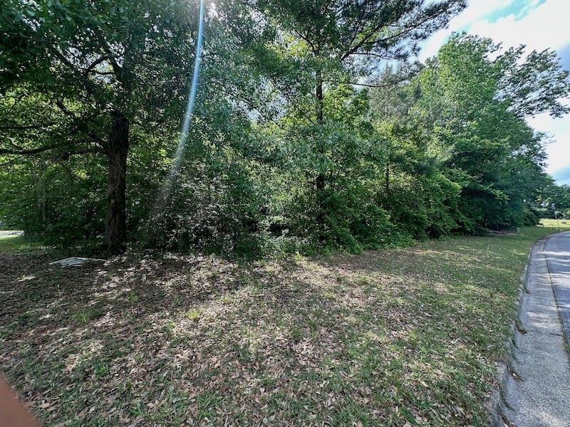 Lot 301 Las Brisas Lane : Dougherty : Dougherty County : Georgia