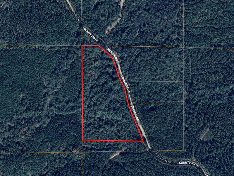 16 Acres, CR 111, Coosa County : Goodwater : Coosa County : Alabama