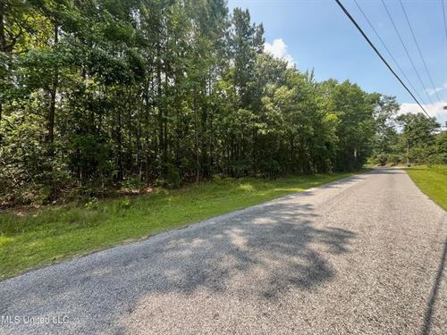 Beautiful 10 Acre Homesite Heidelbe : Heidelberg : Jasper County : Mississippi