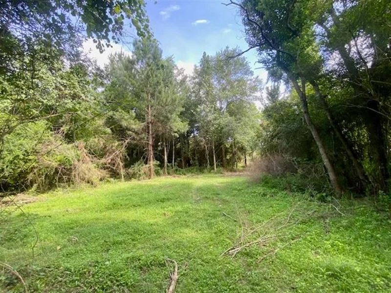 6 Acres Williams Road Magnolia : Magnolia : Pike County : Mississippi