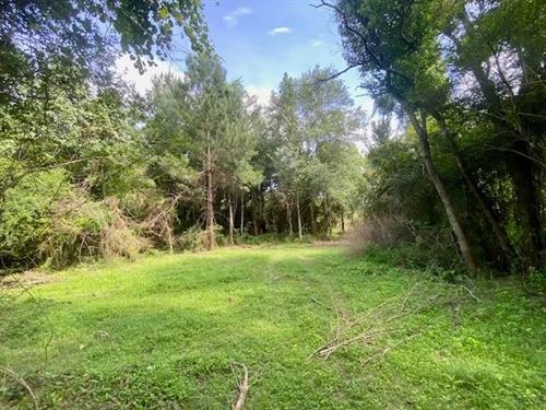 6 Acres On Williams Road, Magnolia : Magnolia : Pike County : Mississippi