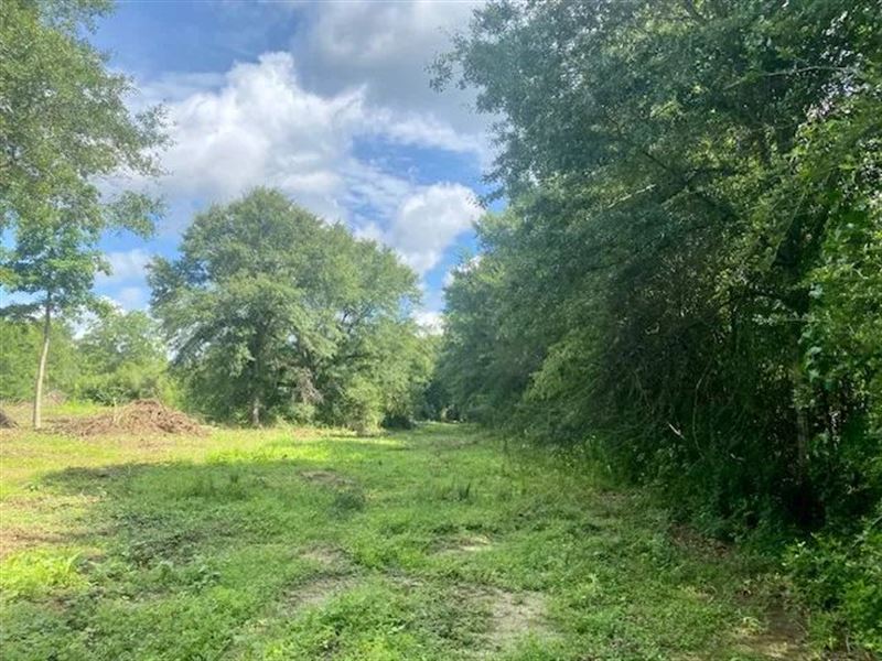 15 Acres Williams Road Magnolia : Magnolia : Pike County : Mississippi