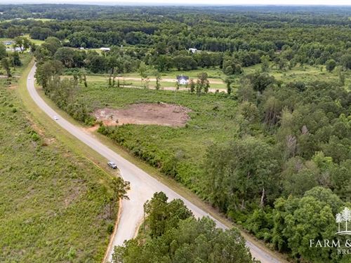 4.6 Ac, Coffee Co, Jack Tract 5 : Jack : Coffee County : Alabama