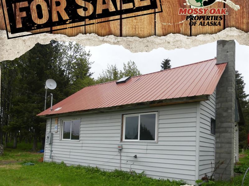 13090 Sterling Hwy : Ninilchik : Kenai Peninsula Borough : Alaska